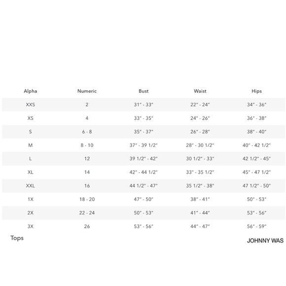 NWT Johnny Was Flounce Top - $295 - Picture 11 of 12